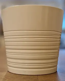 Potteskjuler Muskot, Hvit