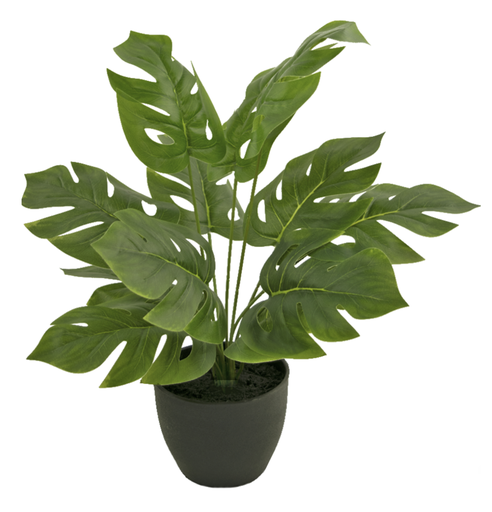 [2066] Artificial Monstera